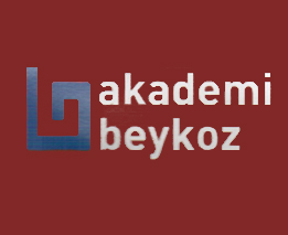 Akademi 2017